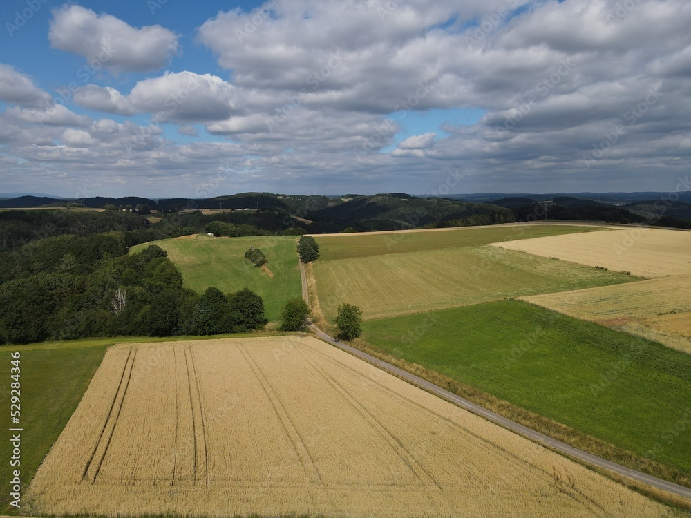 Aerial view of a landscape with agriculture fields and trees in summer 