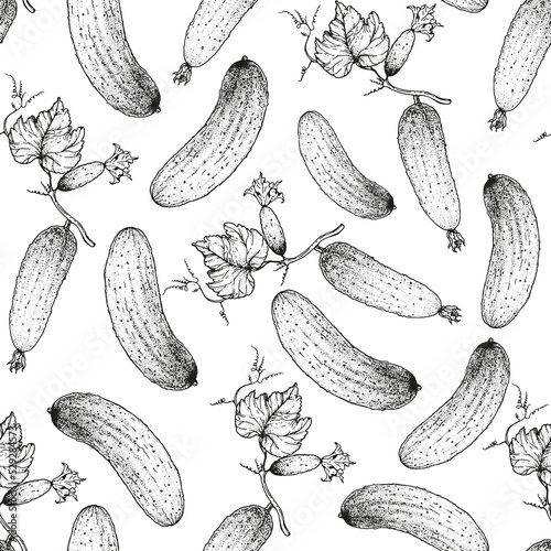 Cucumber seamless pattern. Hand drawn background. Vector illustration. Hand drawing sketch illustration. Cucumber vegetable hand drawn backdrop.