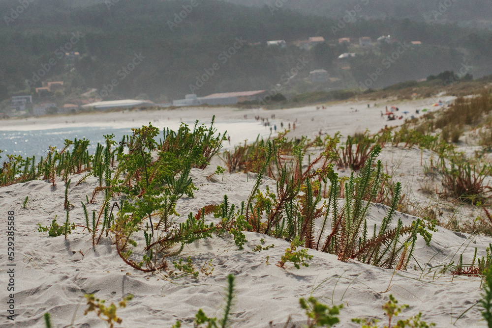 Galicia one of the most amazing places in Spain Galicia one of the most amazing places in Spain