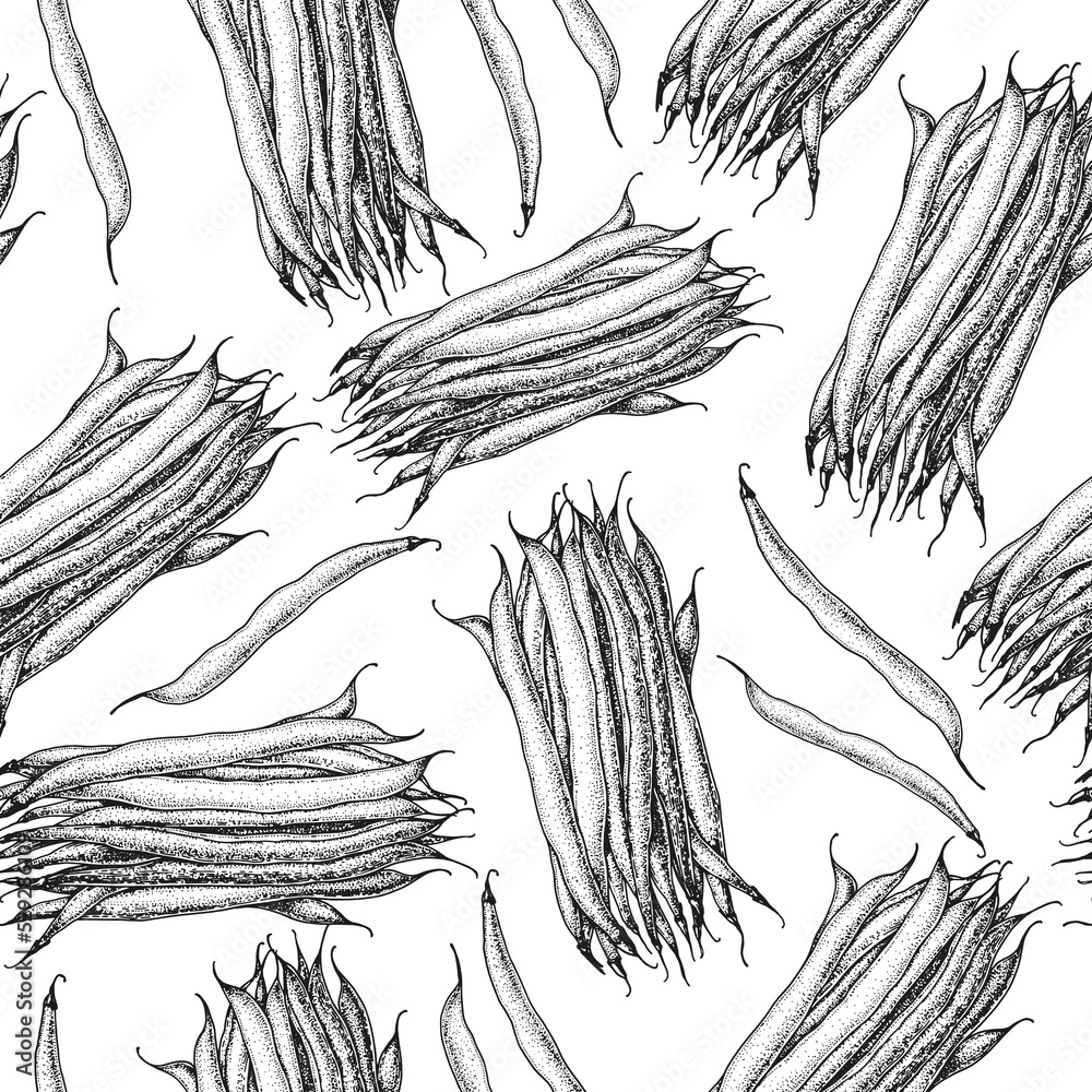 French bean seamless pattern. Hand drawn background. Vector illustration. Hand drawing sketch