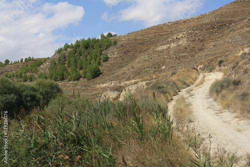 Pista de tierra con el cielo azul de fondo