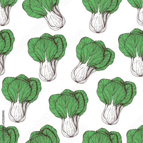 Bok choy seamless pattern. Hand drawn background. Vector illustration. Color illustration. Bok choy vegetable hand drawn backdrop.