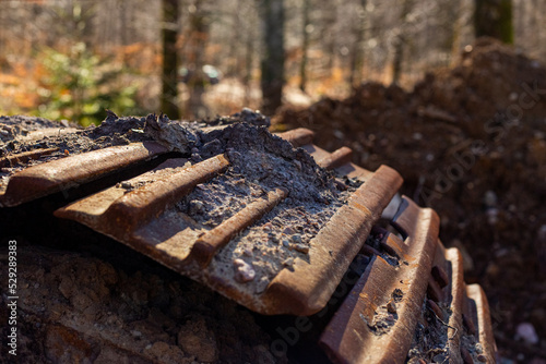 Rusty bandwagon in forest photo