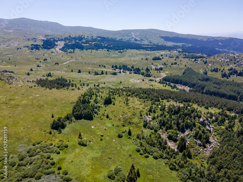 Aerial view of Vitosha Mountain near Kamen Del Peak, Bulgaria