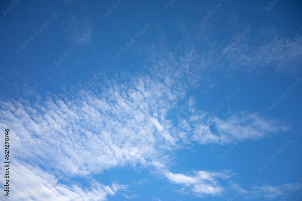 White clouds float across the blue summer sky. Peaceful sky overhead. White clouds float across the blue summer sky. Peaceful sky overhead.