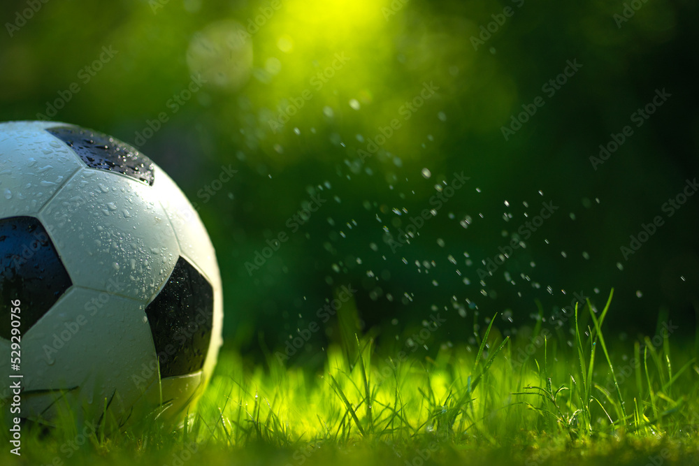 Naklejka premium A soccer ball on the green grass in dew drops. Playing football in the fresh air.