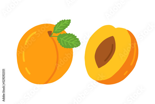 Vector peach and peach slice in section vector set