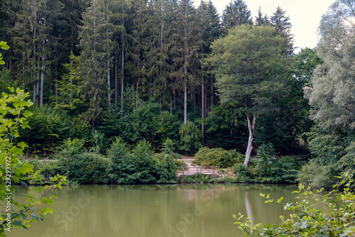 Trees  ruins and landscapes in Sparbach Nature Park an Austria s oldest nature park