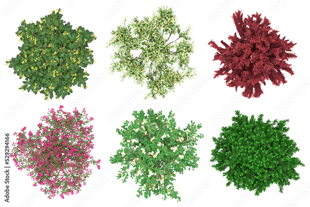 Fototapeta premium Pack of PNG vegetation. Flowering bushes. Made from 3D model for compositing