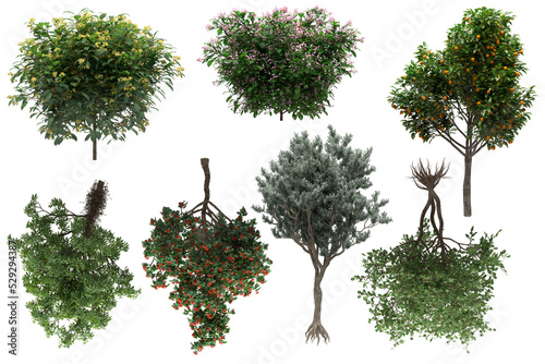 Pack of PNG vegetation. Flowering bushes. Made from 3D model for compositing © Govinda
