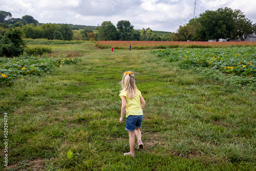 Fototapeta Naklejka Na Ścianę i Meble -  little child walking in the field