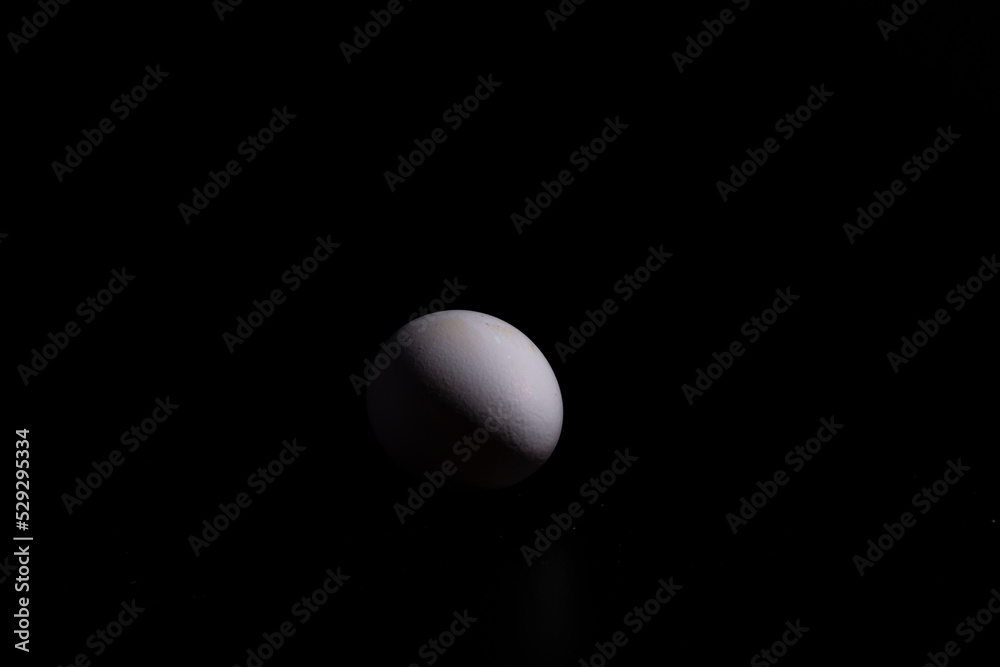 un huevo blanco de gallina, sobre fondo negro un huevo blanco de gallina, sobre fondo negro