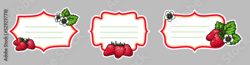 Strawberries label set. Homemade strawberry paper tag sticker. Retro shape ornamental price tag frames, cover insignia. Farmers market badges with berries for craft packaging marmalade, juice, jam
