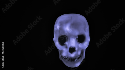 White skull on black background