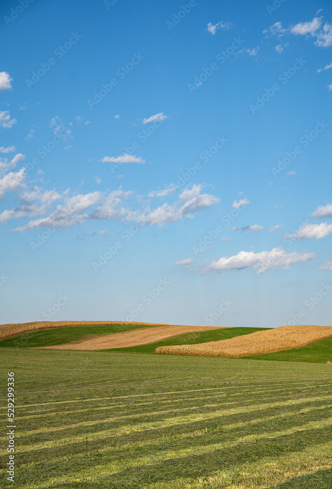 Obraz premium Hay and Corn fields on a hill under a blue sky in the fall in Amish country, Ohio, USA