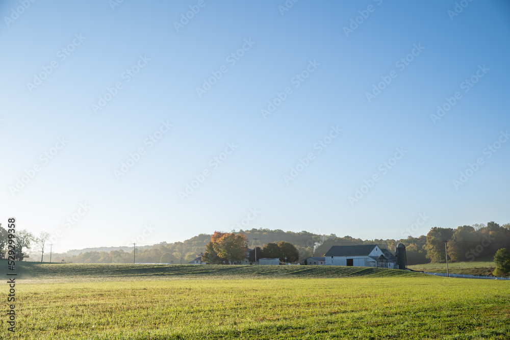 Amish farm and field under a sunny clear blue sky in Holmes County, Ohio