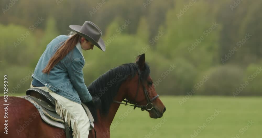 Horse running sport, woman jockey riding horse racing outdoor. Beautiful mare walking in field pasture. Brown stallion, dressage. Training domestic animals. Nature, summer landscape. Horse running sport, woman jockey riding horse racing outdoor. Beautiful mare walking in field pasture. Brown stallion, dressage. Training domestic animals. Nature, summer landscape.