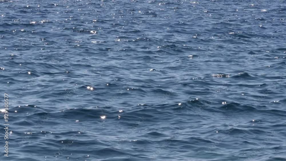sunny waves in the sea 4k 30fps video sunny waves in the sea 4k 30fps video