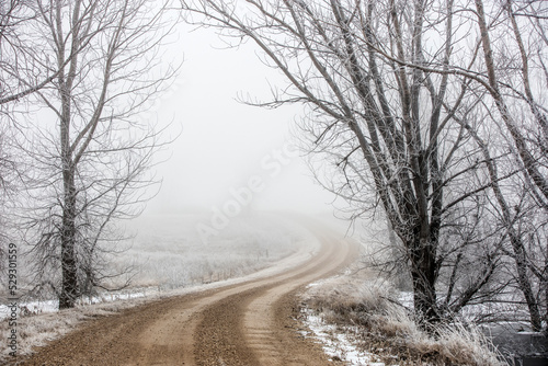 Dirt road amidst snow covered field