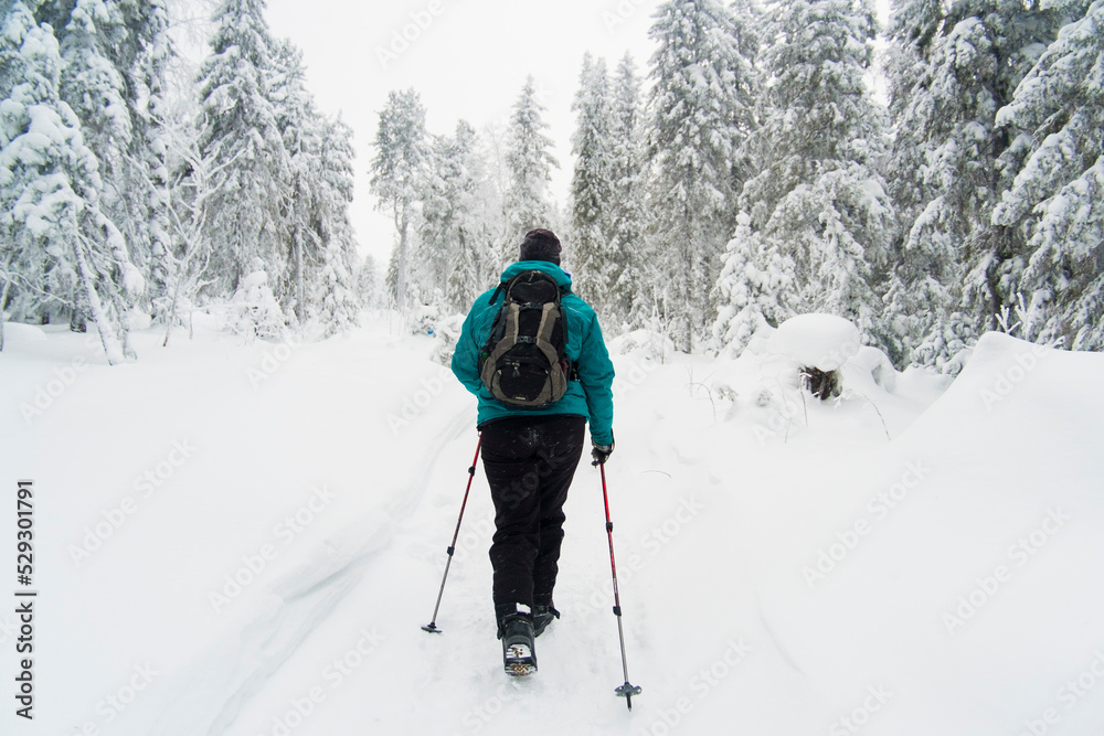 Rear view of skiers walking on snow covered field against trees Rear view of skiers walking on snow covered field against trees