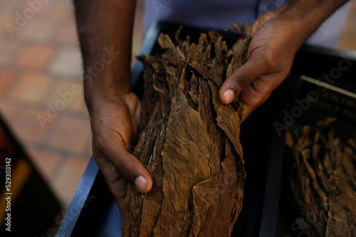 Cropped hands of man holding tobacco leaves in workshop