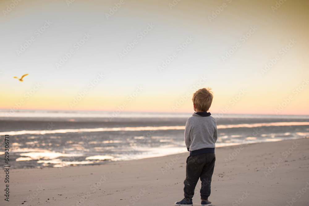 Rear view of boy standing at beach against sky during sunset Rear view of boy standing at beach against sky during sunset
