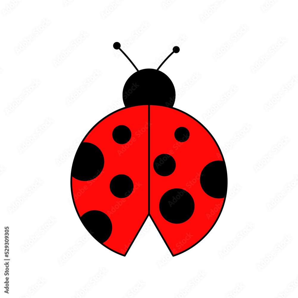 Fototapeta premium ladybug on white background