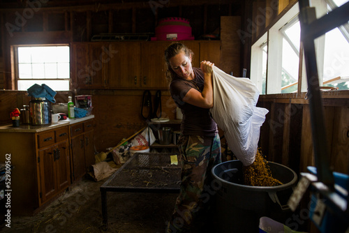 Woman pouring grains from sack in bucket at barn photo