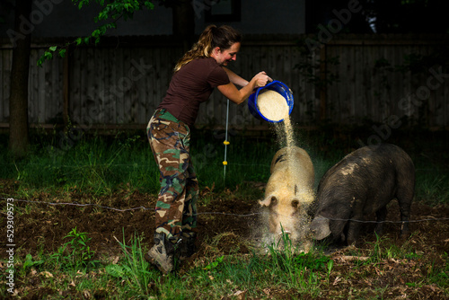 Side view of woman pouring grains on pigs while feeding them at farm photo