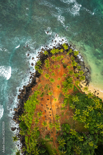 Aerial view of Island beach with coconut tree