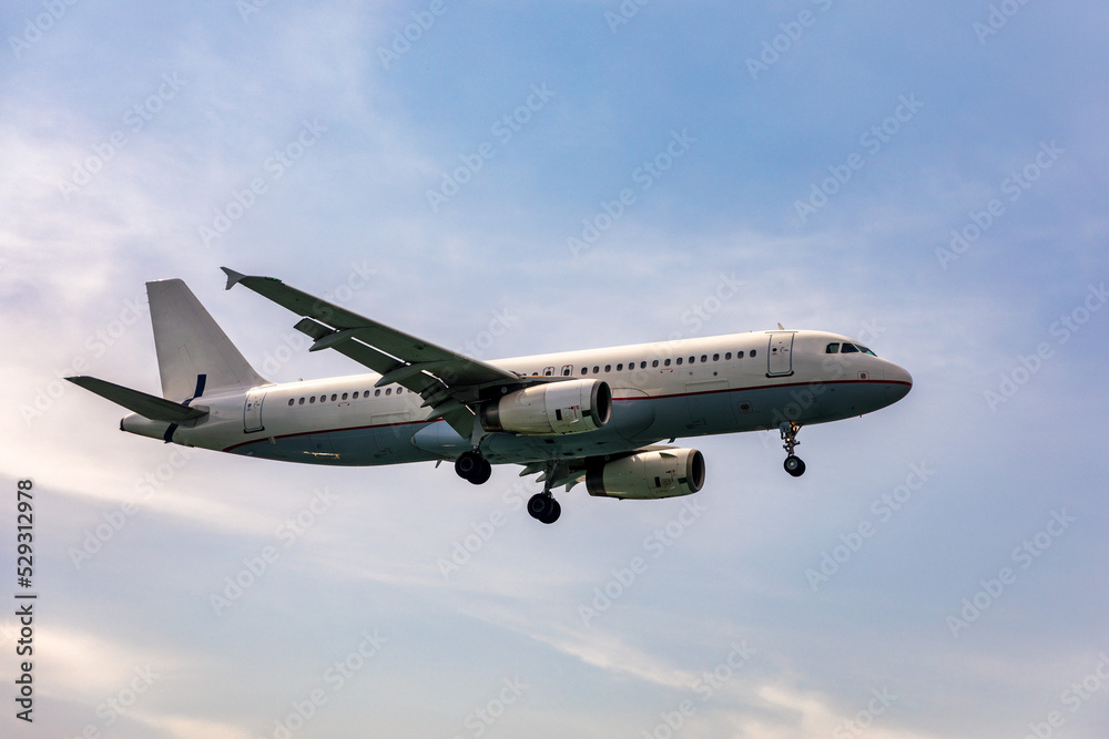 Landing airplane. Landscape with passenger airplane is flying in the blue sky with clouds. Passenger airliner. Business trip. Commercial aircraft. Passenger airplane flying and getting ready to land.