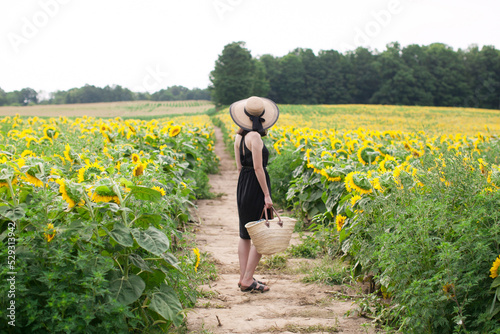 Side view of woman holding basket while standing on field amidst sunflowers at farm photo