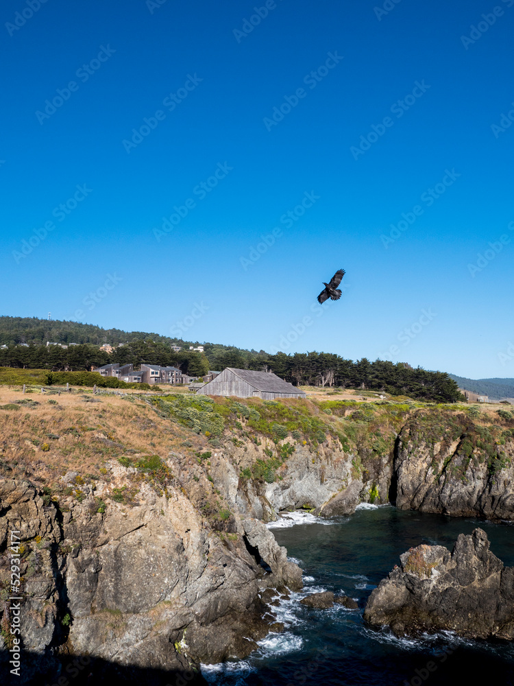 Low angle view of bird flying over mountain against clear blue sky during sunny day Low angle view of bird flying over mountain against clear blue sky during sunny day