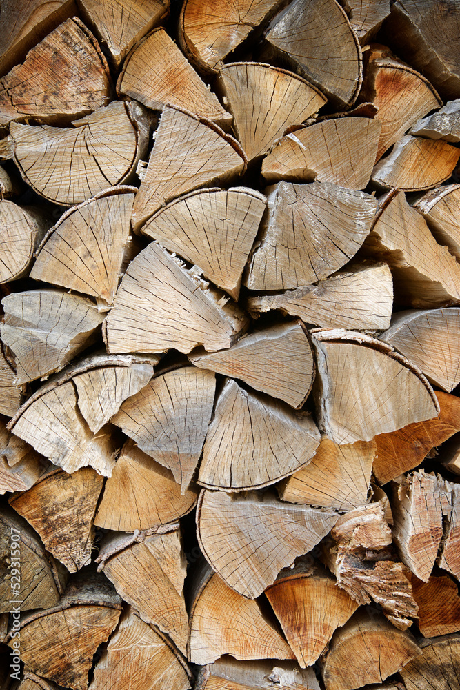 Close-up of woodpile in forest Close-up of woodpile in forest