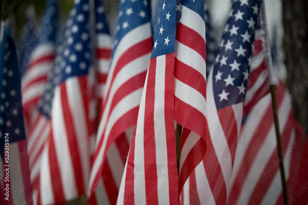 Close-up of American flags