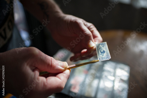 Close-up of man holding postage stamp with tweezers at home