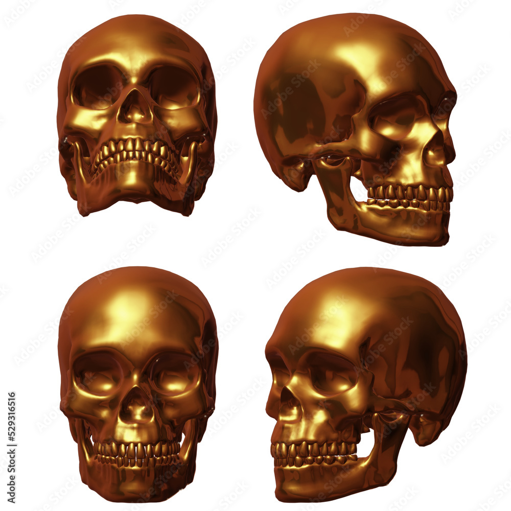 human skull isolated on black human skull isolated on black