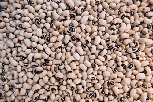 High angle view of white beans for sale at market photo