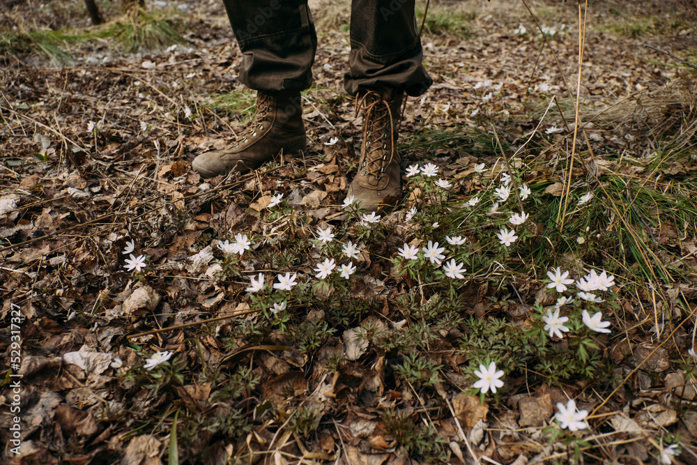Low section of man standing on field in forest Low section of man standing on field in forest