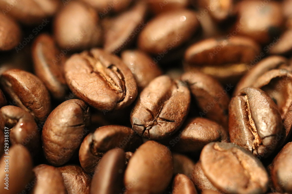 coffee, bean, brown, beans, drink, cafe, caffeine, macro, close-up coffee, bean, brown, beans, drink, cafe, caffeine, macro, close-up