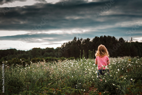 toddler girl in a strawberry field looking at the sunset photo