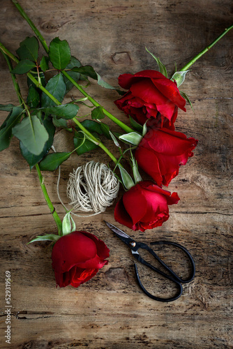 red roses with dark background. Flat ñay