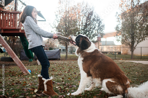 Young girl playing tug o war with large dog in backyard photo