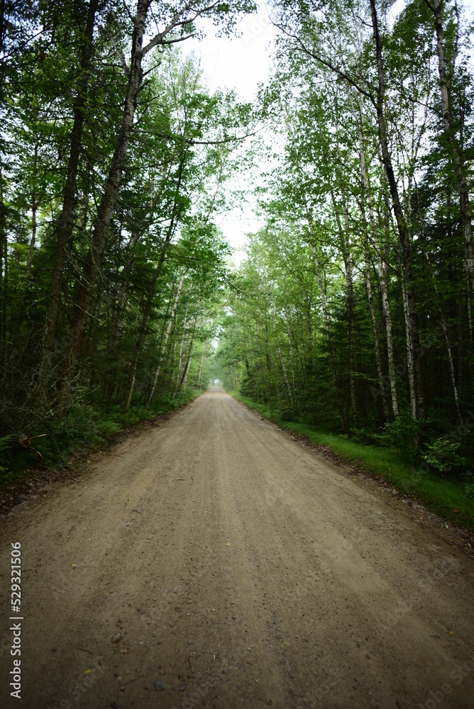 Obraz premium Savannah Portage State Park