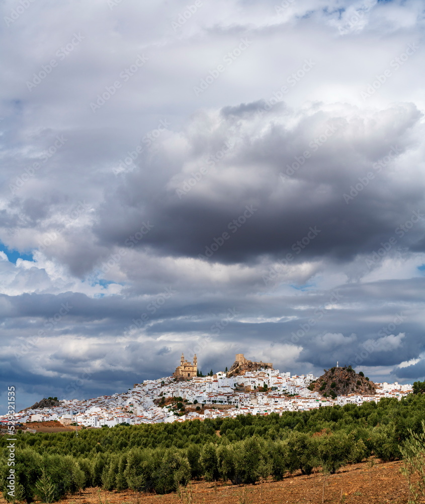White Town of Olvera, Cadiz province, Spain White Town of Olvera, Cadiz province, Spain