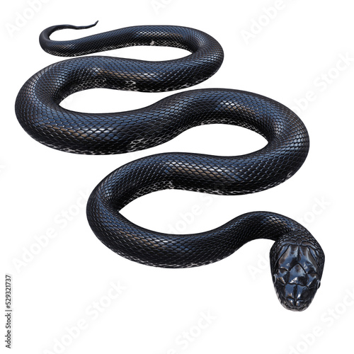 3D illustration of Black rat snake.