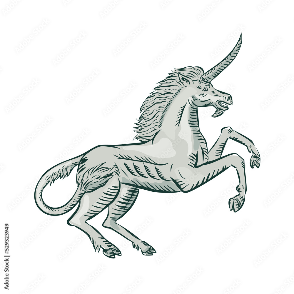 Fototapeta premium Unicorn Horse Prancing Side Etching