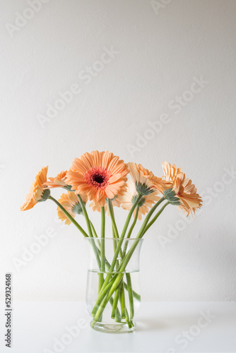 Vertical closeup of orange gerbera daisies in glass vase on table against neutral wall background (selective focus)