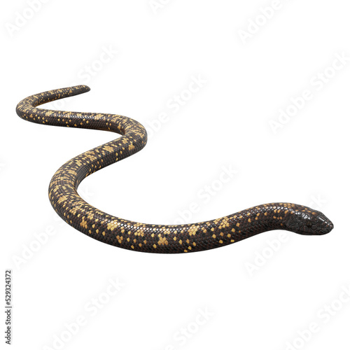 3D illustration of Calabar python.