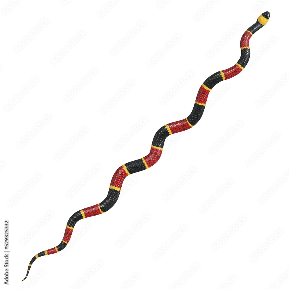 Obraz premium 3D illustration of Eastern coral snake.